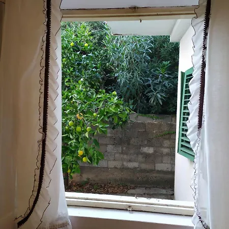 Apartment Anto Orebic