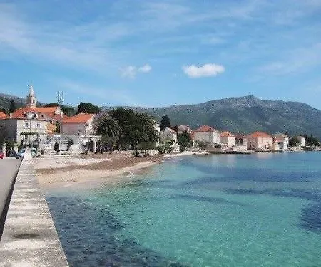 Anto Orebic